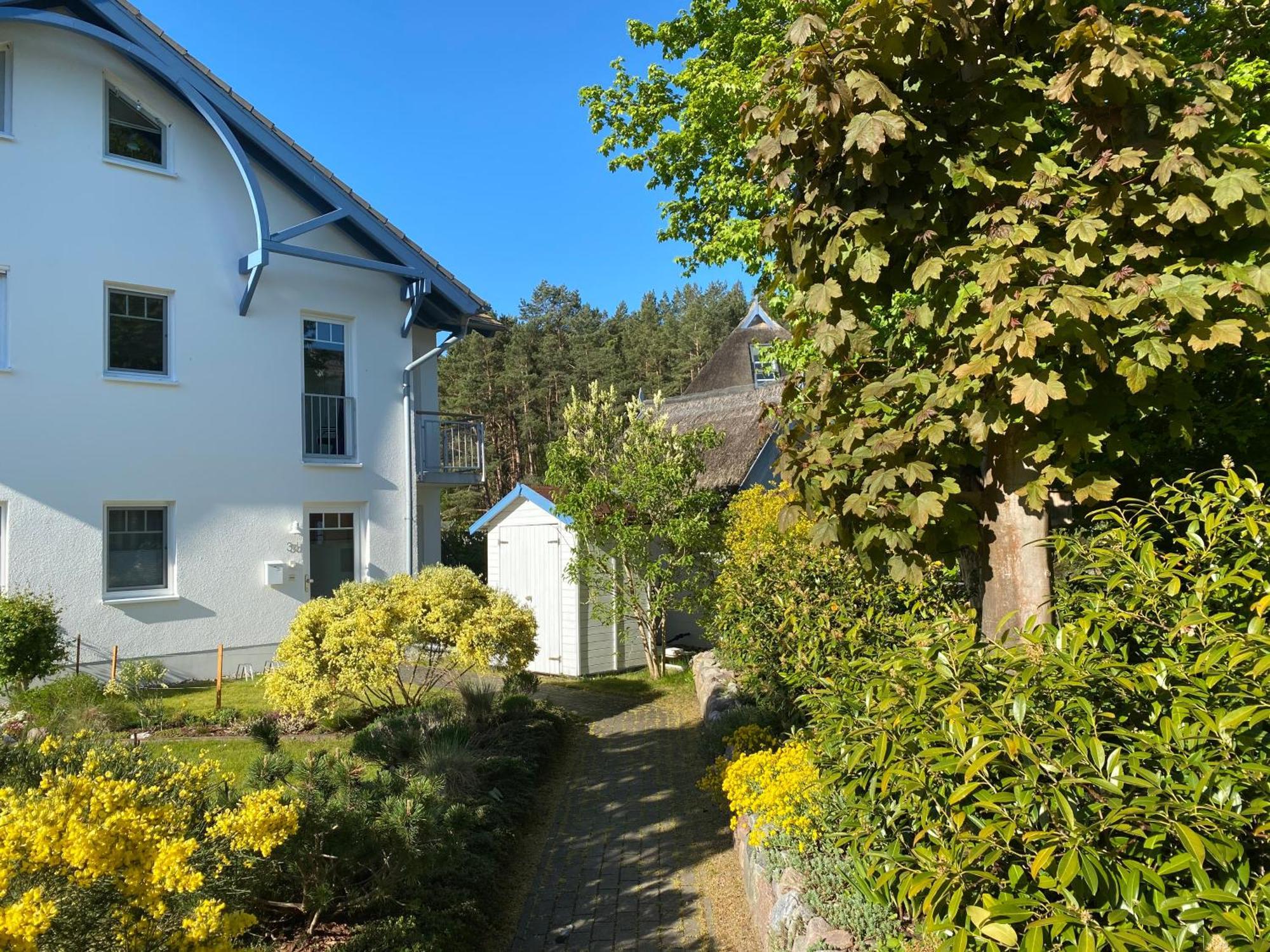Duenenresidenz Karlshagen - Ferienwohnung Ginsterweg Exterior foto