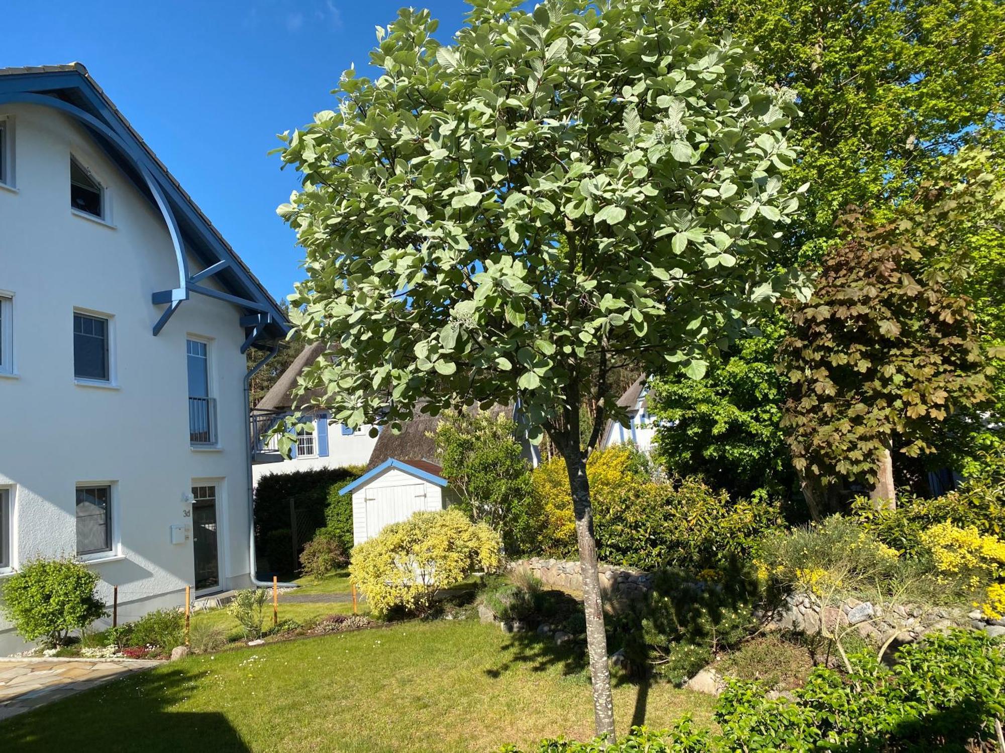 Duenenresidenz Karlshagen - Ferienwohnung Ginsterweg Exterior foto